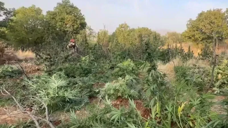 Diyarbakır'da İHA'lı Narko Operasyonu! Zehir Tacirlerine Şok Baskın!