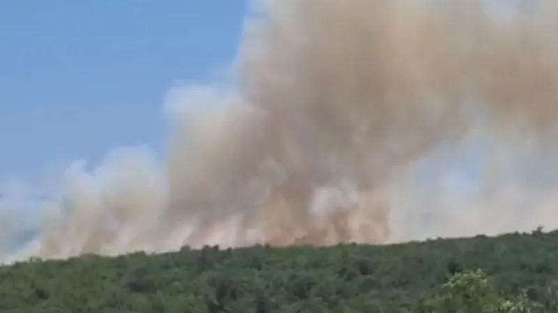 Bursa'da orman yangını