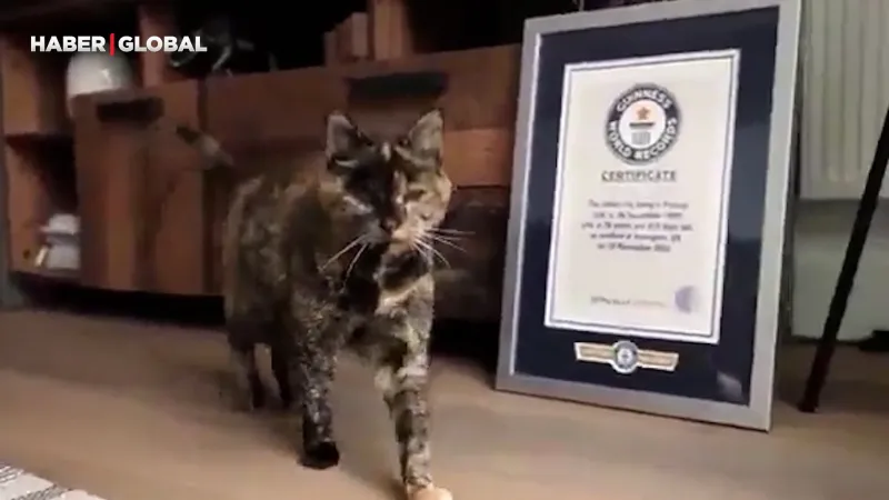 30 Yaşına Giren Kedi Şoke Etti! Dünyanın En Yaşlısı Flossie