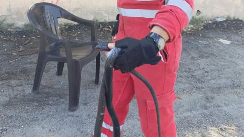 Evde Yılan Kabusu! Hatay'da Evde Yılan Paniği