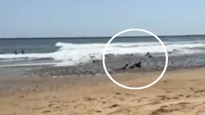 İspanya'da mini tsunami paniği: Sebebini duyunca inanamayacaksınız!