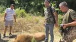 Kaçan aslan öldürülmüştü! O işletme mühürlendi!