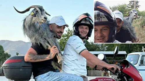 Keçi Motosikletle Yakalandı! Pazarda Şaşkınlık Yarattı