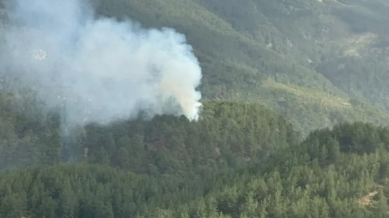 Kumluca'da orman yangını!