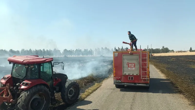 Mardin'de Korkunç Yangın! 350 Dekar Buğday Tarlası Kül Oldu