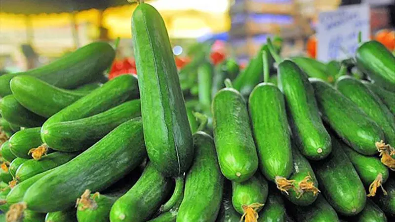 Salatalık Alarmı! Marketlerdeki Salatalıklar Toplatılıyor!
