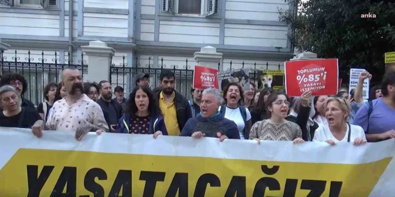 AYM Kararı Hayvanseverleri Kızdırdı! İstanbul'da Büyük Protesto