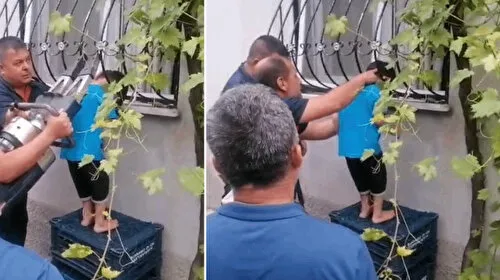 Korkuluk Kabusu! Minik Yavru İtfaiye ile Kurtuldu
