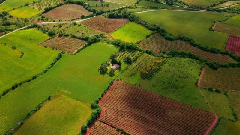 Deprem Sonrası Arsa Fiyatları Uçtu! İşte En Değerli İlçeler