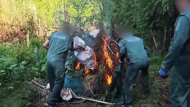 Diyarbakır'da Şok Baskın! 30 Bin Kök Kenevir Nerede Bulundu?