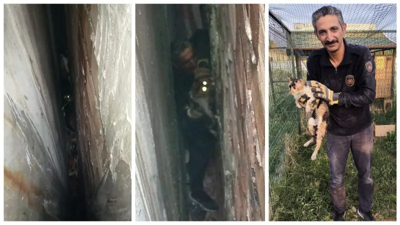 Hatay'da Mucize Kurtuluş! Kedi 7 Saatte Nasıl Kurtarıldı?