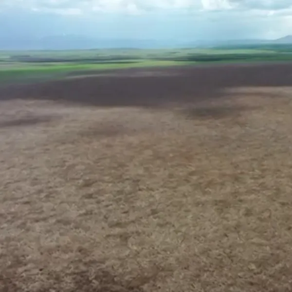 Kuyucuk Gölü'ne Can Suyu: 6 Yılda 6 Milyar Litre!