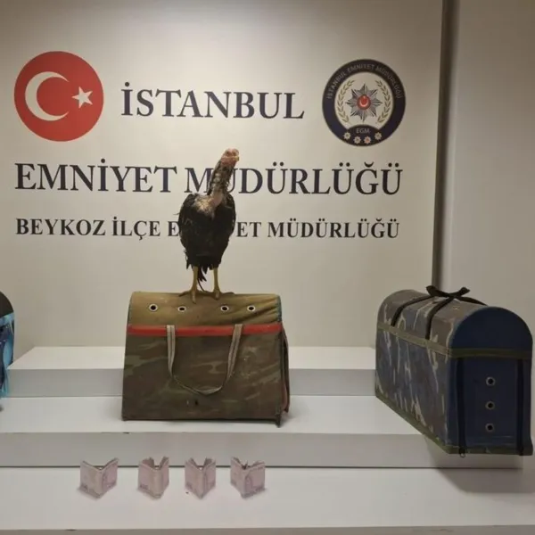 İstanbul'da Horoz Dövüşü Baskını! Metruk Binada Neler Oldu?