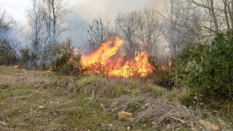 Sakarya ve Kocaeli'de Sazlık Yangını Kontrol Altına Alındı