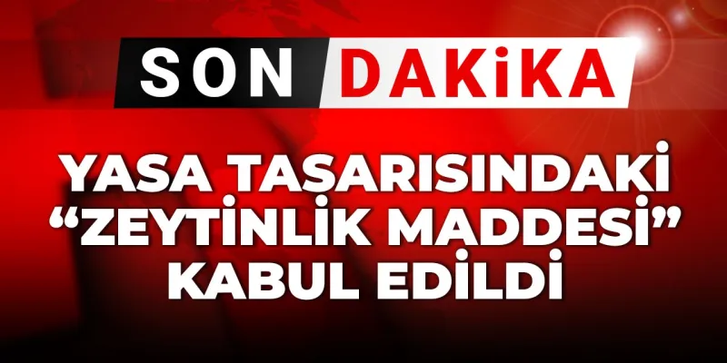 Zeytinlikler Madene Mi Açılıyor? Tartışmalı Madde Kabul Edildi!