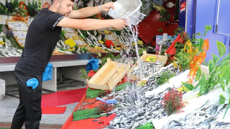 TÜİK: Su ürünleri üretimi 2024'te yüzde 7,6 azaldı